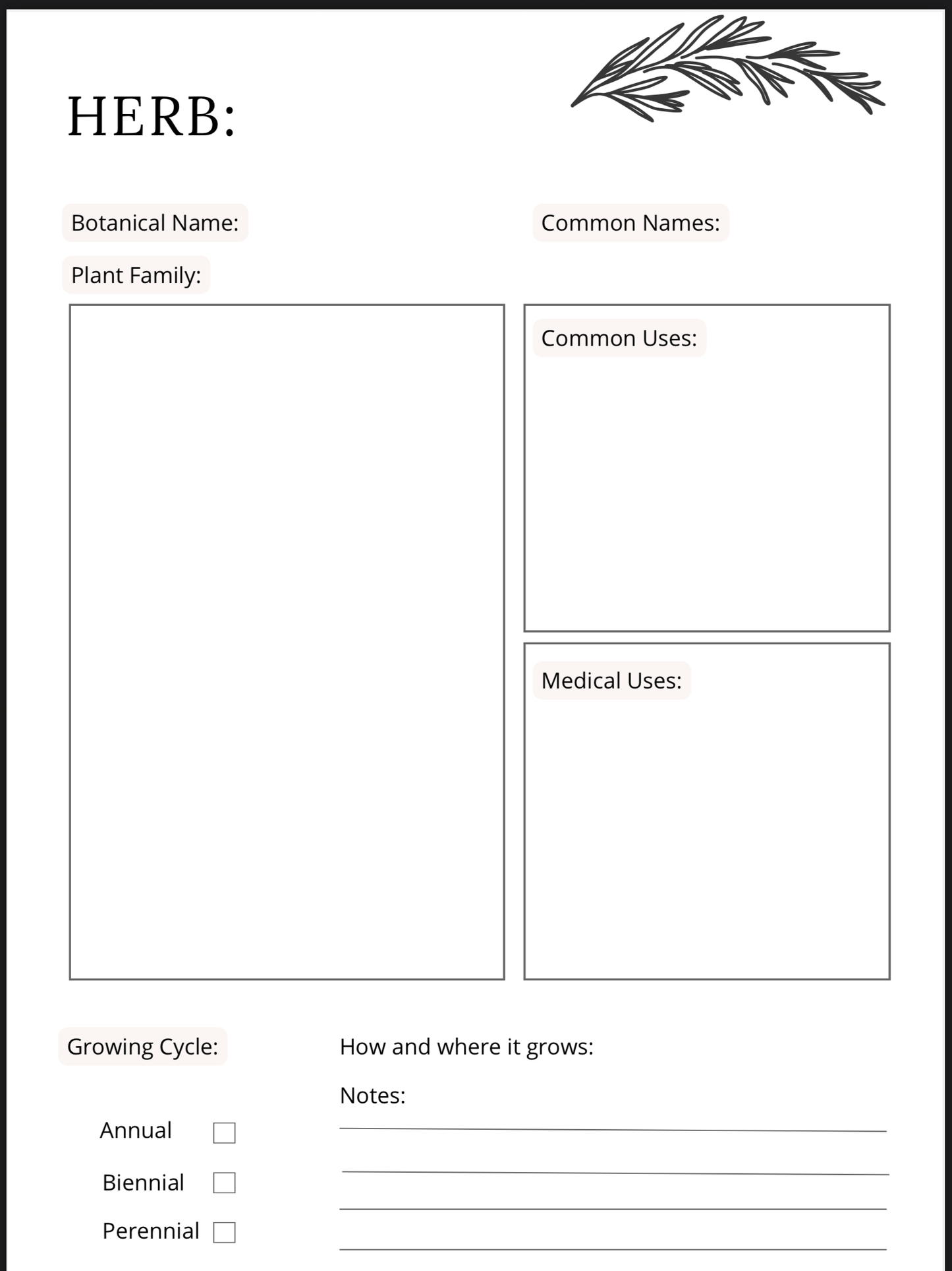 Herbs & Essential Oils Planner